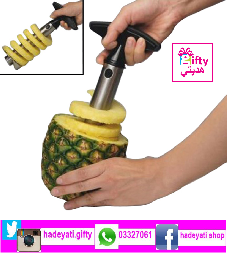 STAINLESS STEEL PINEAPPLE EASY SLICER