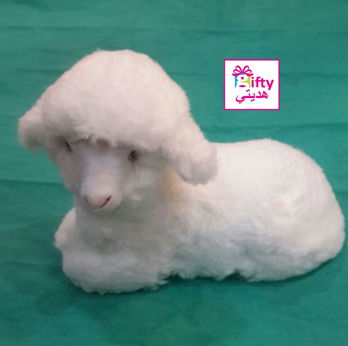 SHEEP WHITE BIG