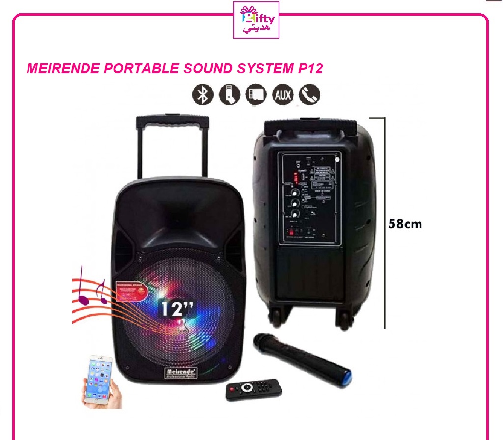 MEIRENDE PORTABLE OUTDOOR PERFORMANCES SOUND SYSTEM P12