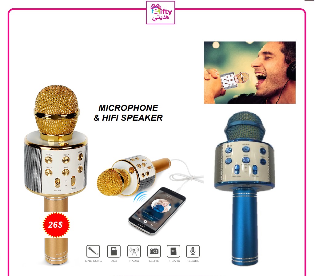 WSTER-WS858 Handheld KTV Karaoke Wireless Microphone HIFI Speaker